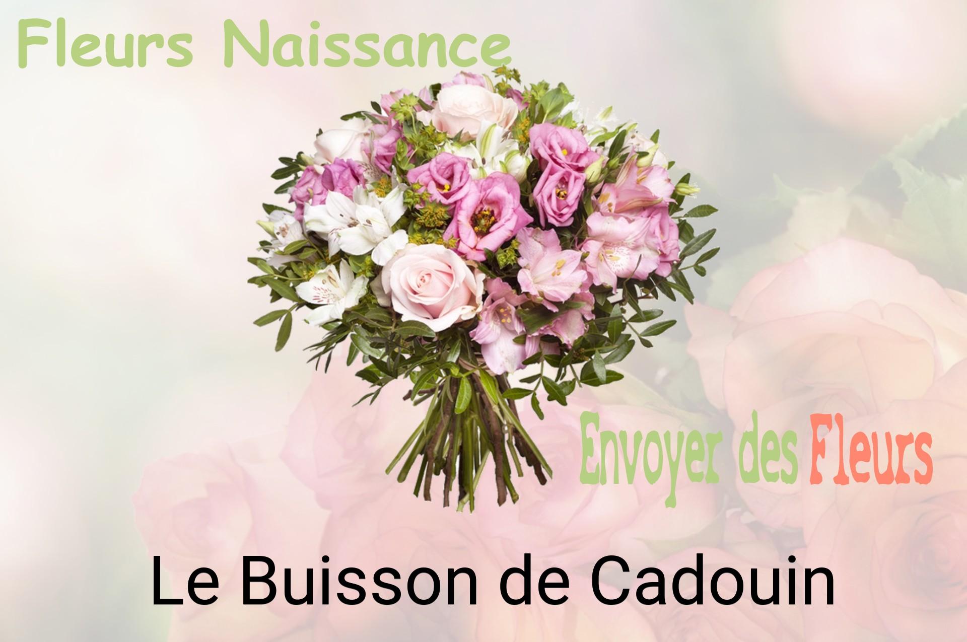 Bouquet de fleurs de naissance livré à Le Buisson-de-Cadouin
